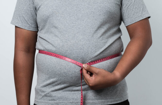 Understanding Obesity