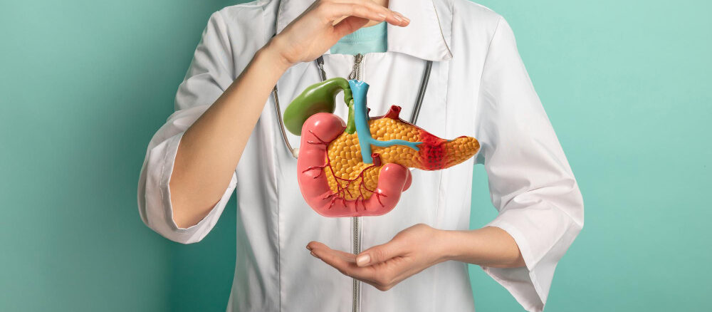 Digestive System