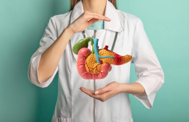 Digestive System